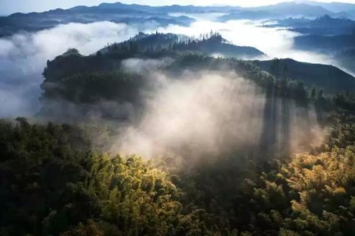 親親常德全域旅游卡