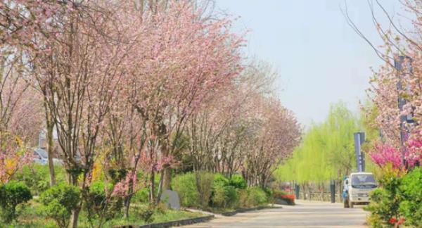 福恩牡丹園