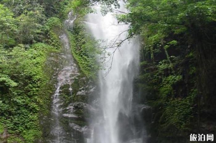 云南瑞麗莫里熱帶雨林風(fēng)景區(qū)
