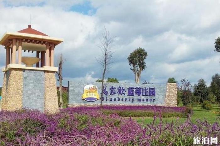 石林萬家歡藍莓莊園