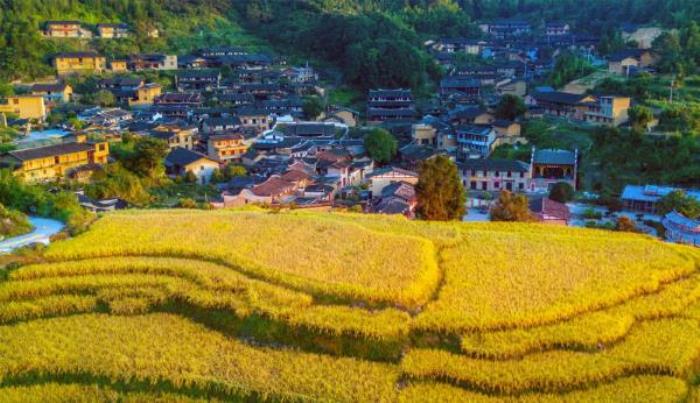 桂峰古村落景區
