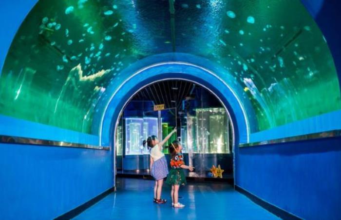 龍宮大白鯨極地海洋館