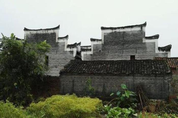 盧家洲