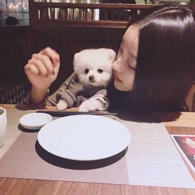 肥城結伴游玩采購員集功萍