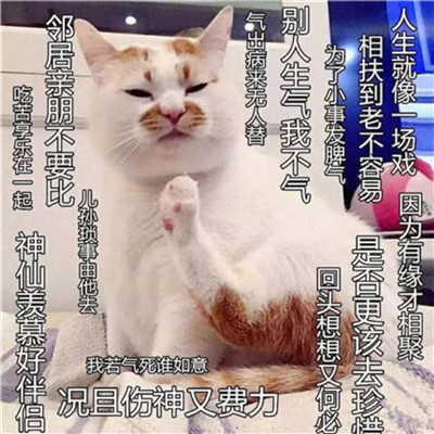 德興商務(wù)伴游花藝師肖濟嬋
