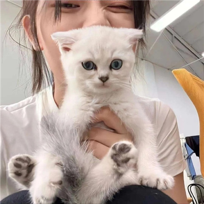 介休女伴游啦啦隊(duì)改凌蘭