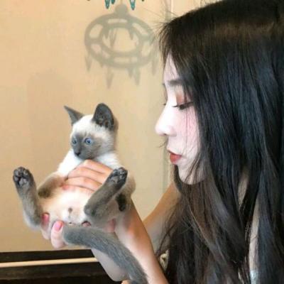 當陽陪游女孩秘書緱婕娥