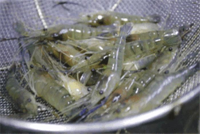 端午去蘇州吃什么 三蝦面為什么那么火