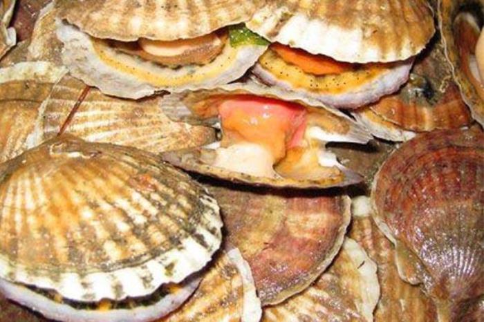 大連特產有哪些 大連特產推薦