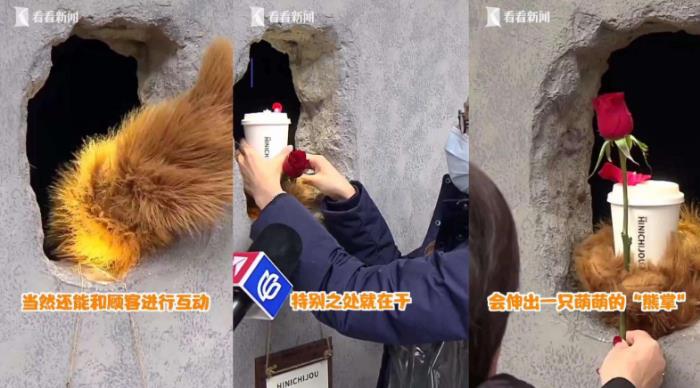 上海網紅熊爪咖啡店在哪里 熊爪咖啡店名是什么