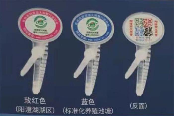 2021陽澄湖大閘蟹防偽扣分辨