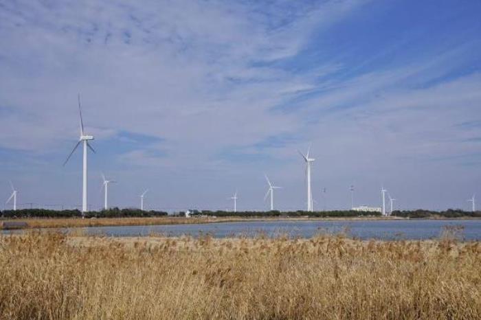 2022陽(yáng)澄湖大閘蟹開捕時(shí)間 幾月份最好吃