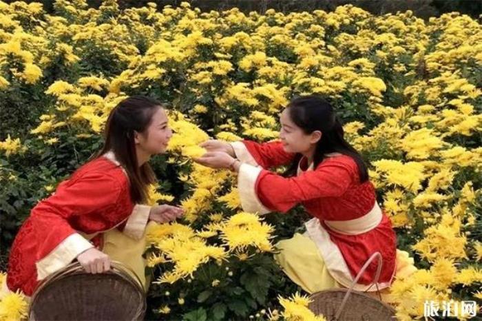 廣元有什么特產(chǎn)可以帶走