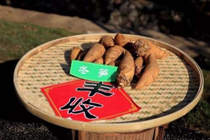 婺源特色商品有哪些 婺源購物街在哪里以及購物攻略