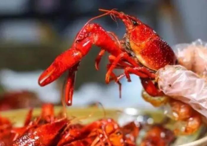 2021武漢美食街哪里最出名