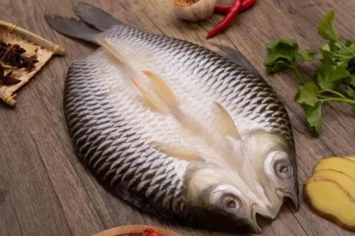 馬來西亞忘不了魚是什么魚?一斤多少錢?