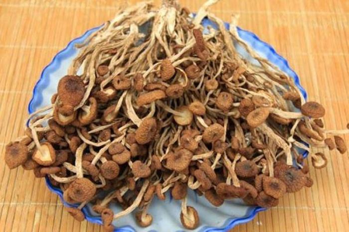 明月山有什么特產